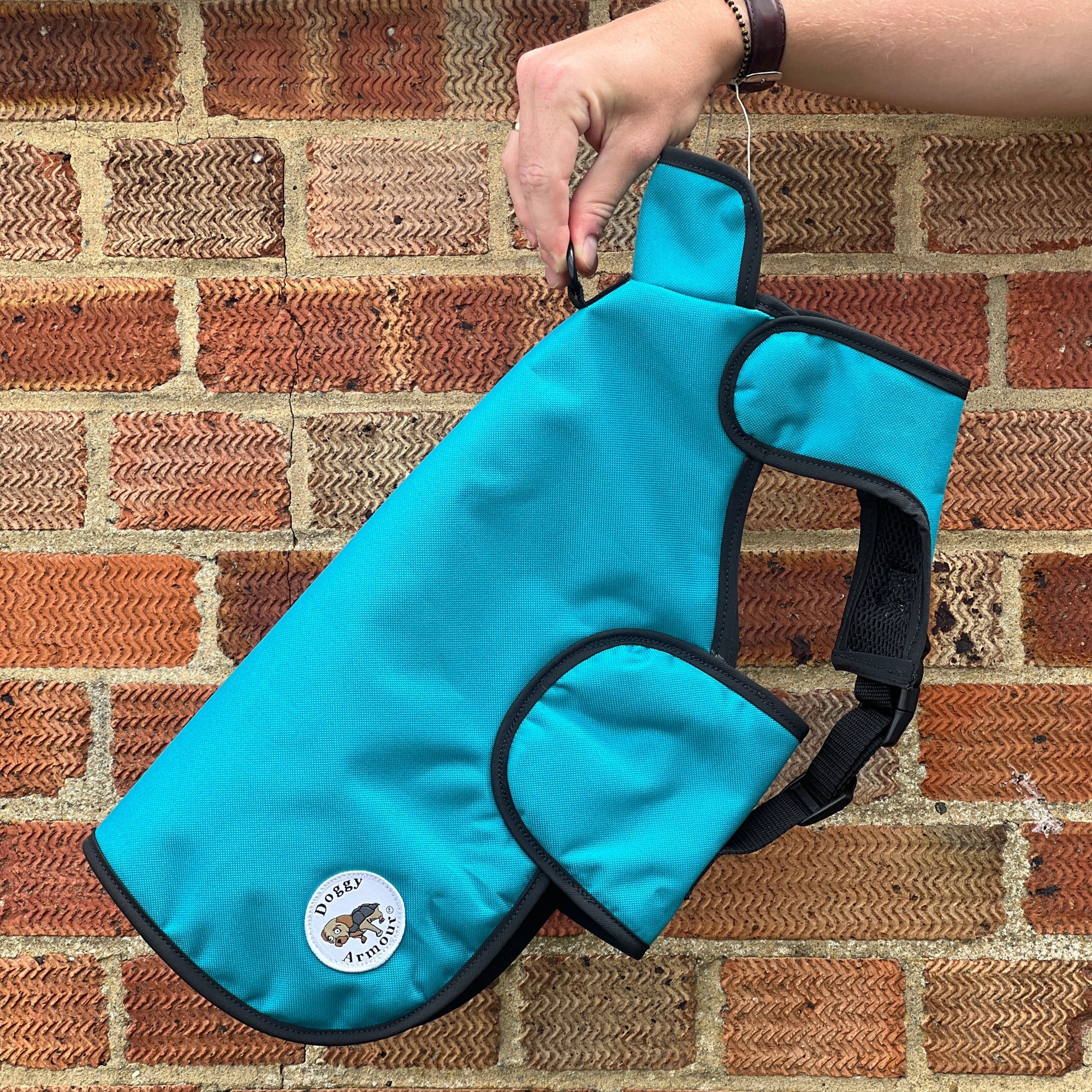 Turquoise Small Doggy Armour.
