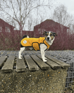 Marigold Protective Dog Coat - Armoured Bite Resistant Dog Coat