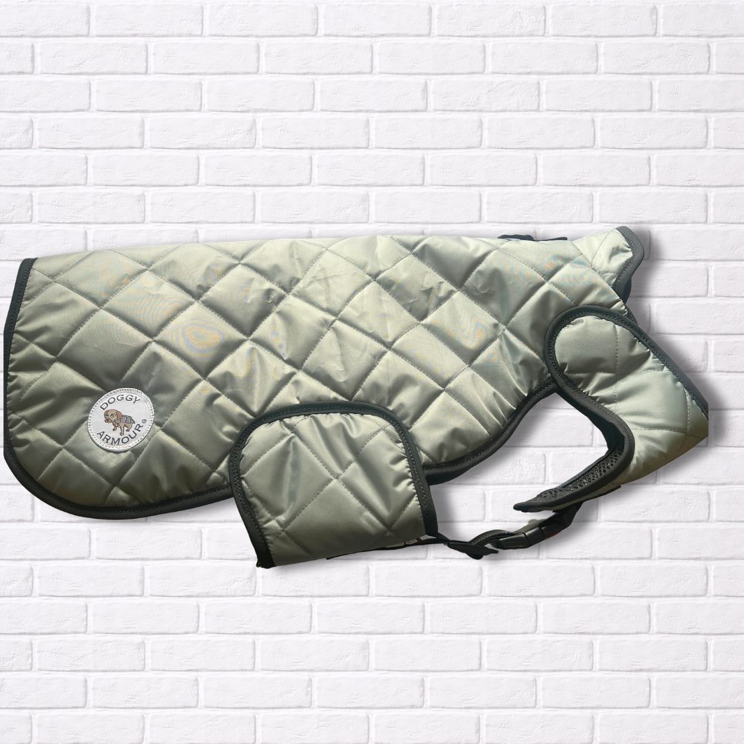 Medium -  Sage Quilted - Protective Dog Coat - Armoured Bite Resistant Dog Coat