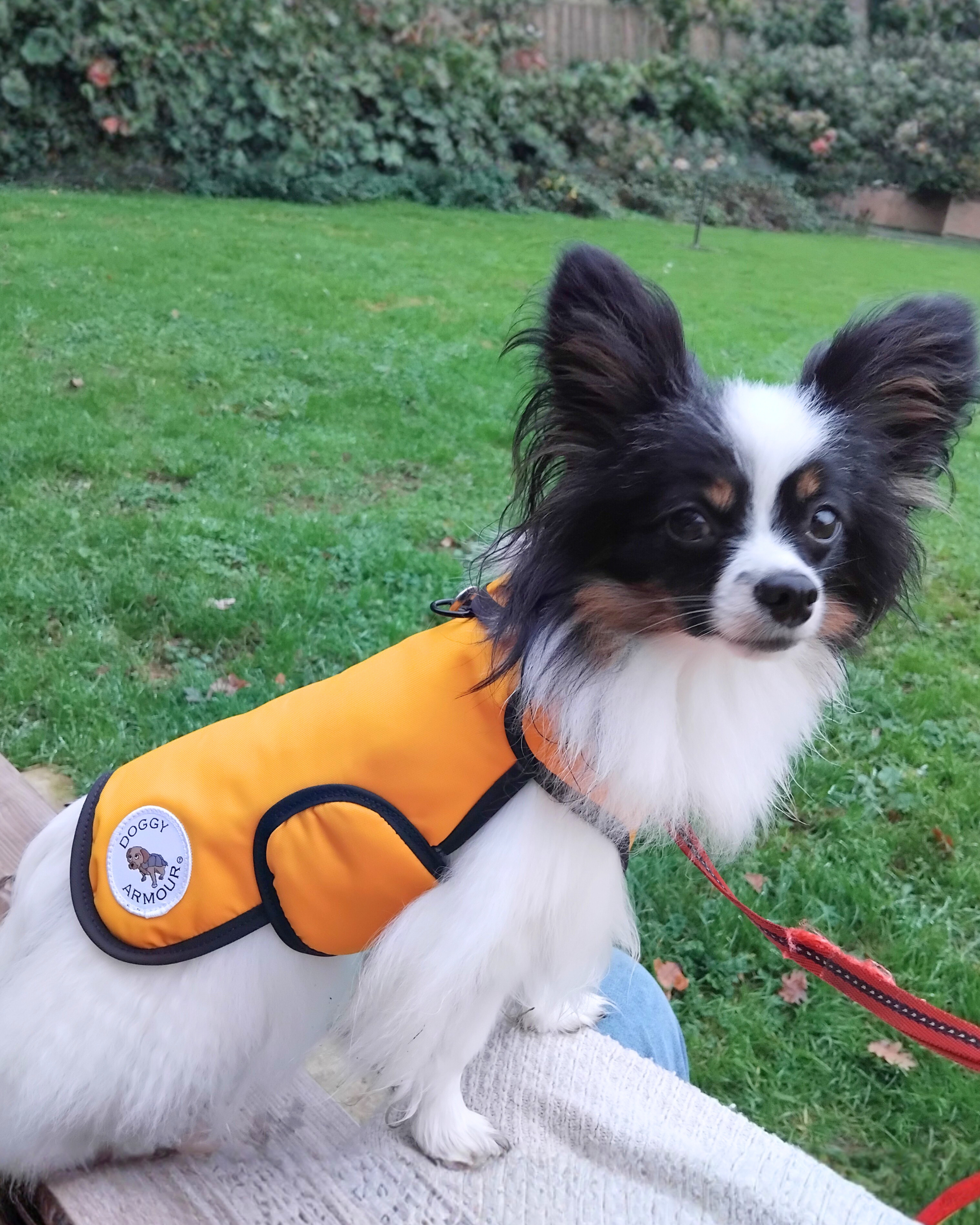 Made to Order Collection - Armoured Bite Resistant Dog Coat