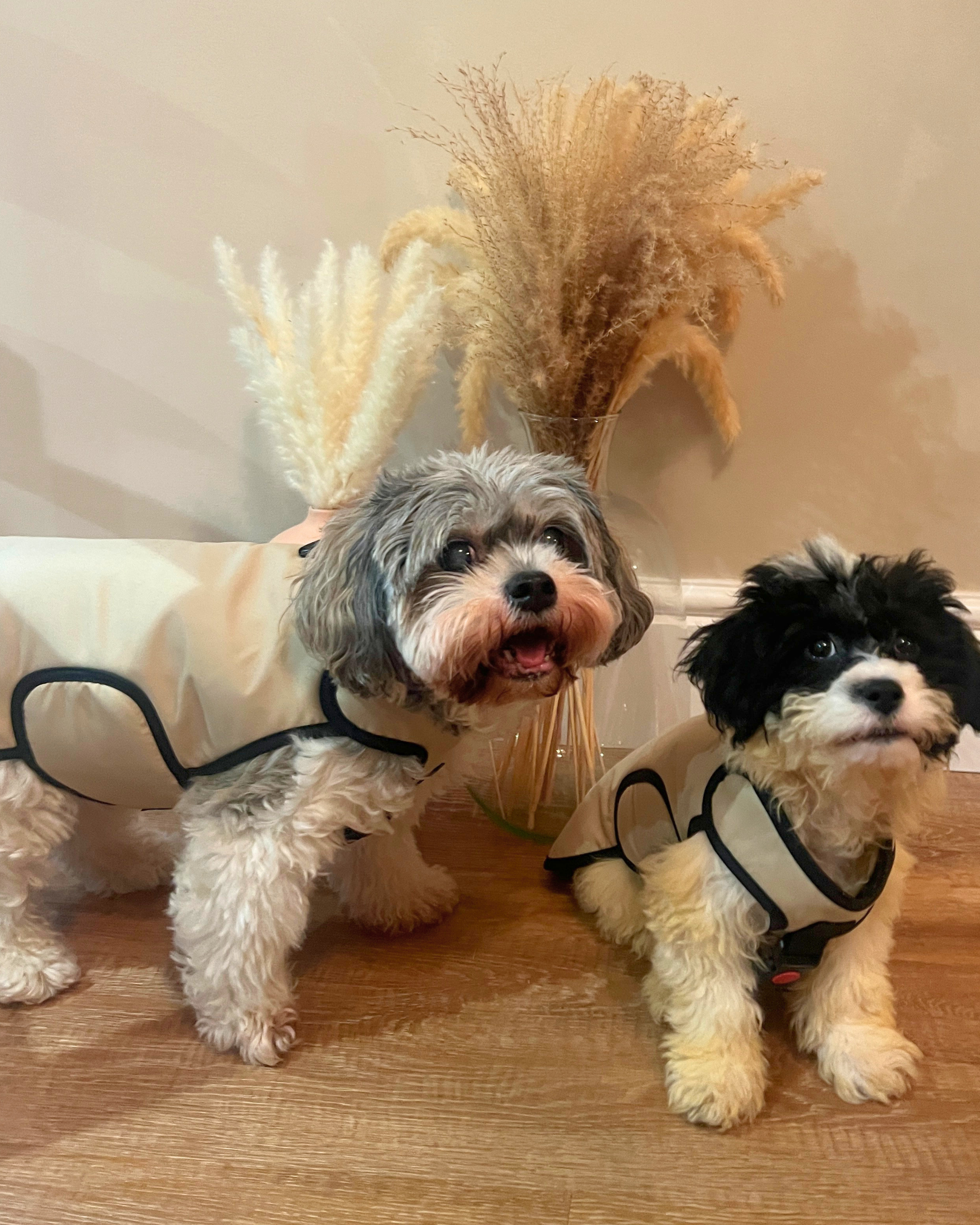 Made to Order Collection - Armoured Bite Resistant Dog Coat