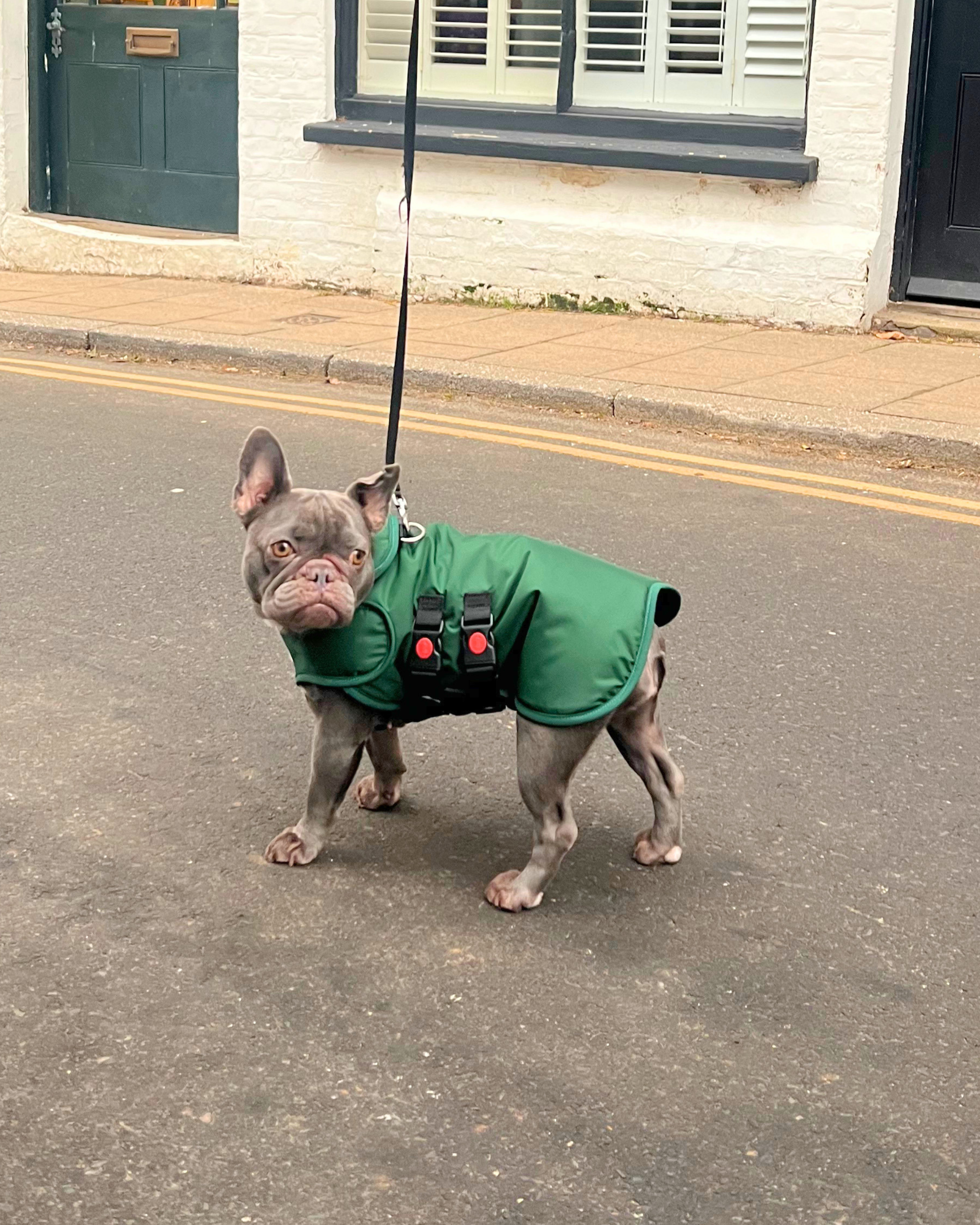 Made to Order Collection - Armoured Bite Resistant Dog Coat