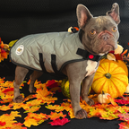 XXSmall - Sage Quilted - Protective Dog Coat - Armoured Bite Resistant Dog Coat