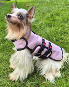 Made to Order Collection - Armoured Bite Resistant Dog Coat
