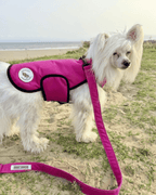 X Small - Tutti Frutti Pink - Protective Dog Coat - Armoured Bite Resistant Dog Coat
