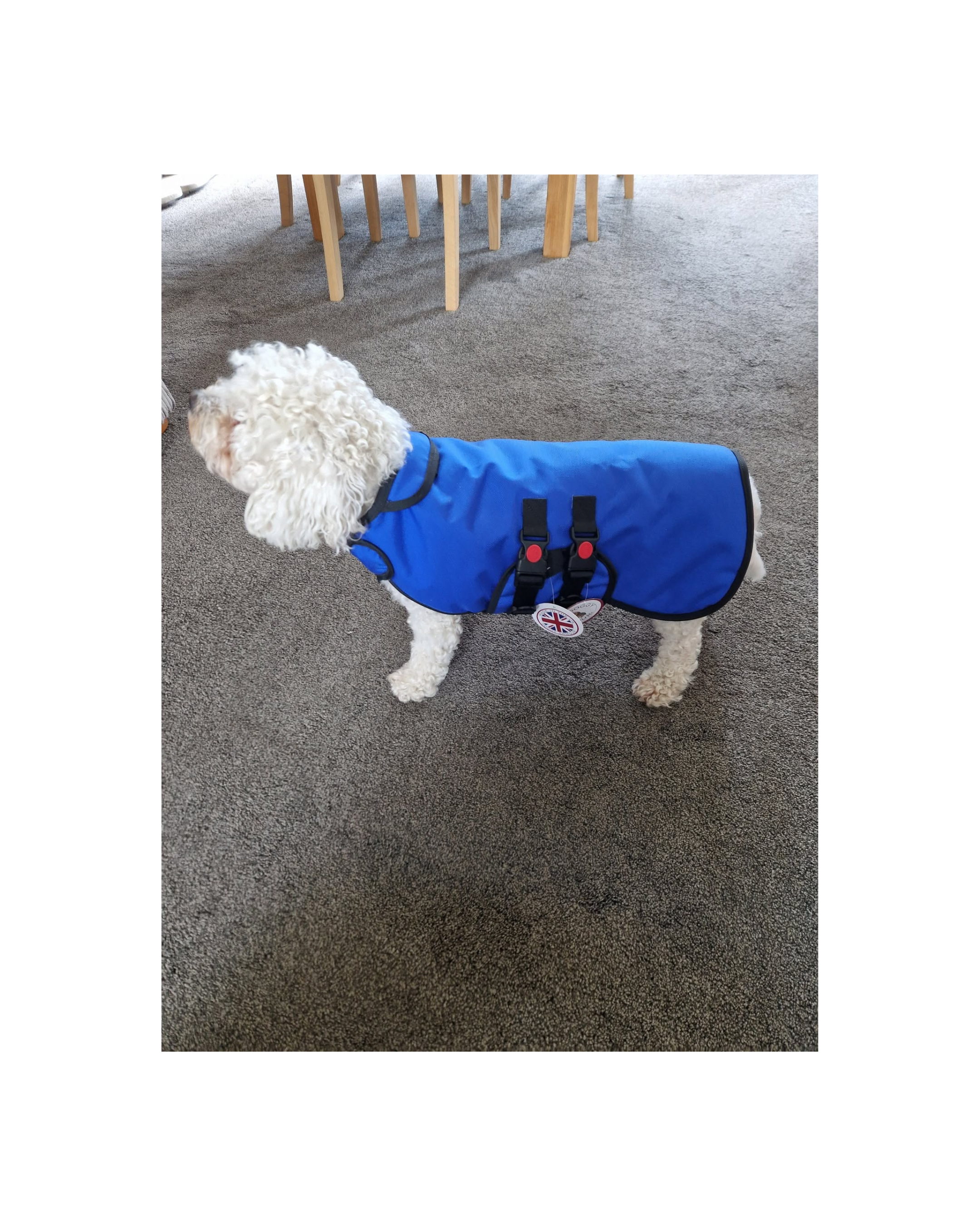 Made to Order Collection - Armoured Bite Resistant Dog Coat