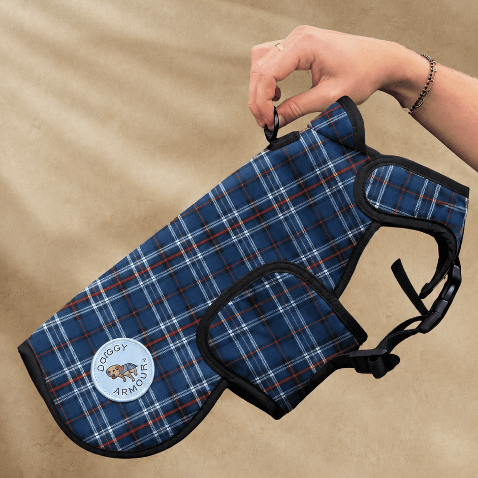 Blue plaid dog harness held by a hand against a beige background