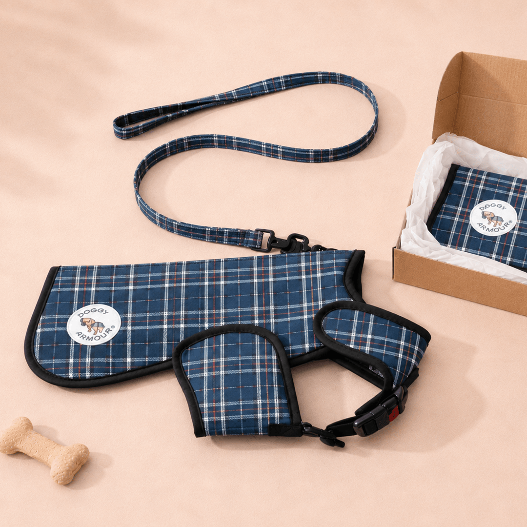 Blue plaid dog harness, leash, and bone toy on a beige background with a cardboard box.