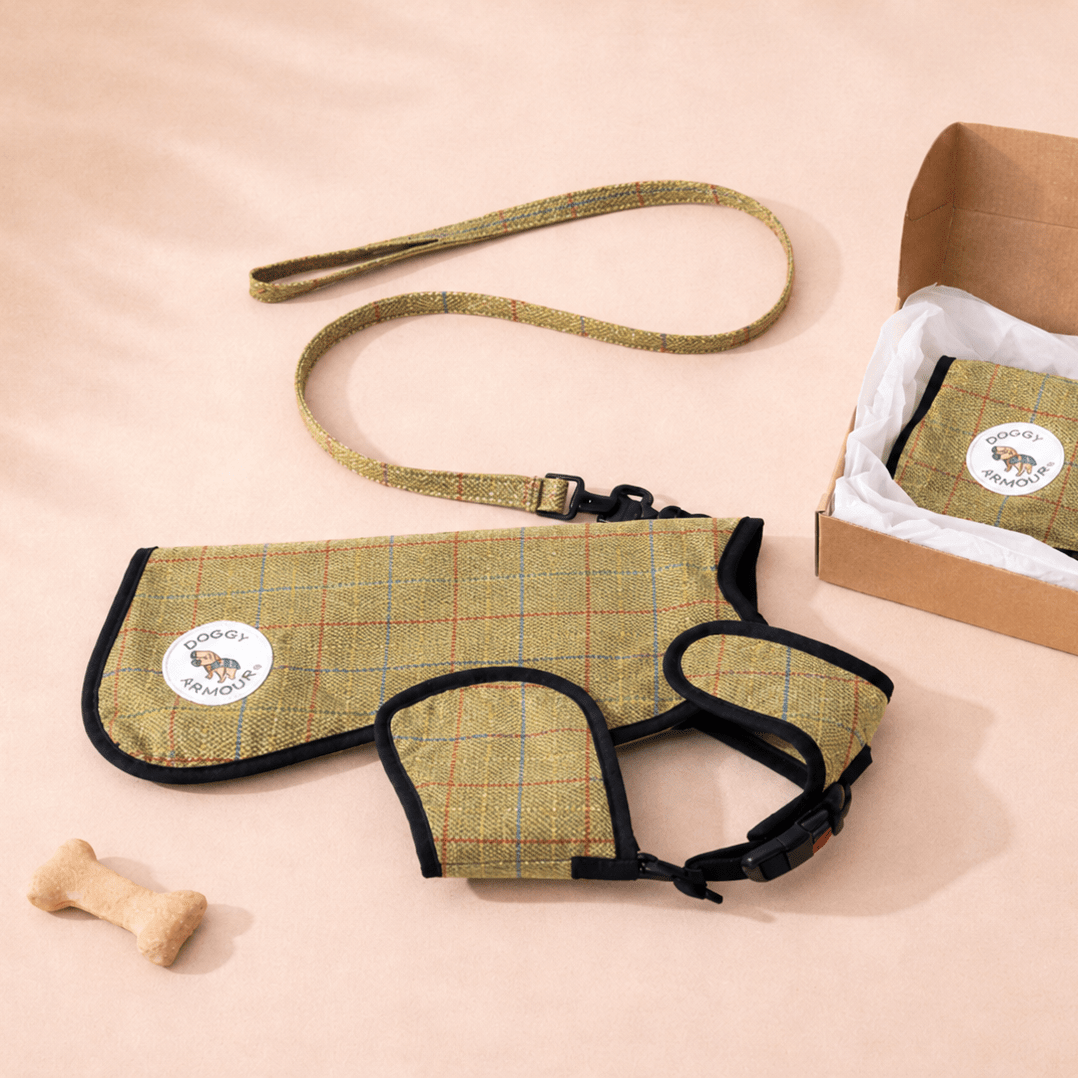 Dog harness and leash set with a branded box on a beige background