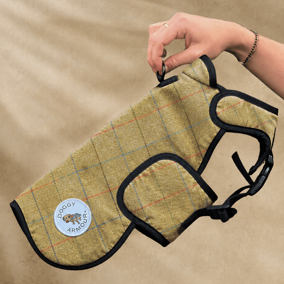 Green tweed dog coat with black trim held by a hand on a beige background