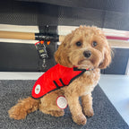 XSmall - Red Quiltled - Protective Dog Coat - Armoured Bite Resistant Dog Coat