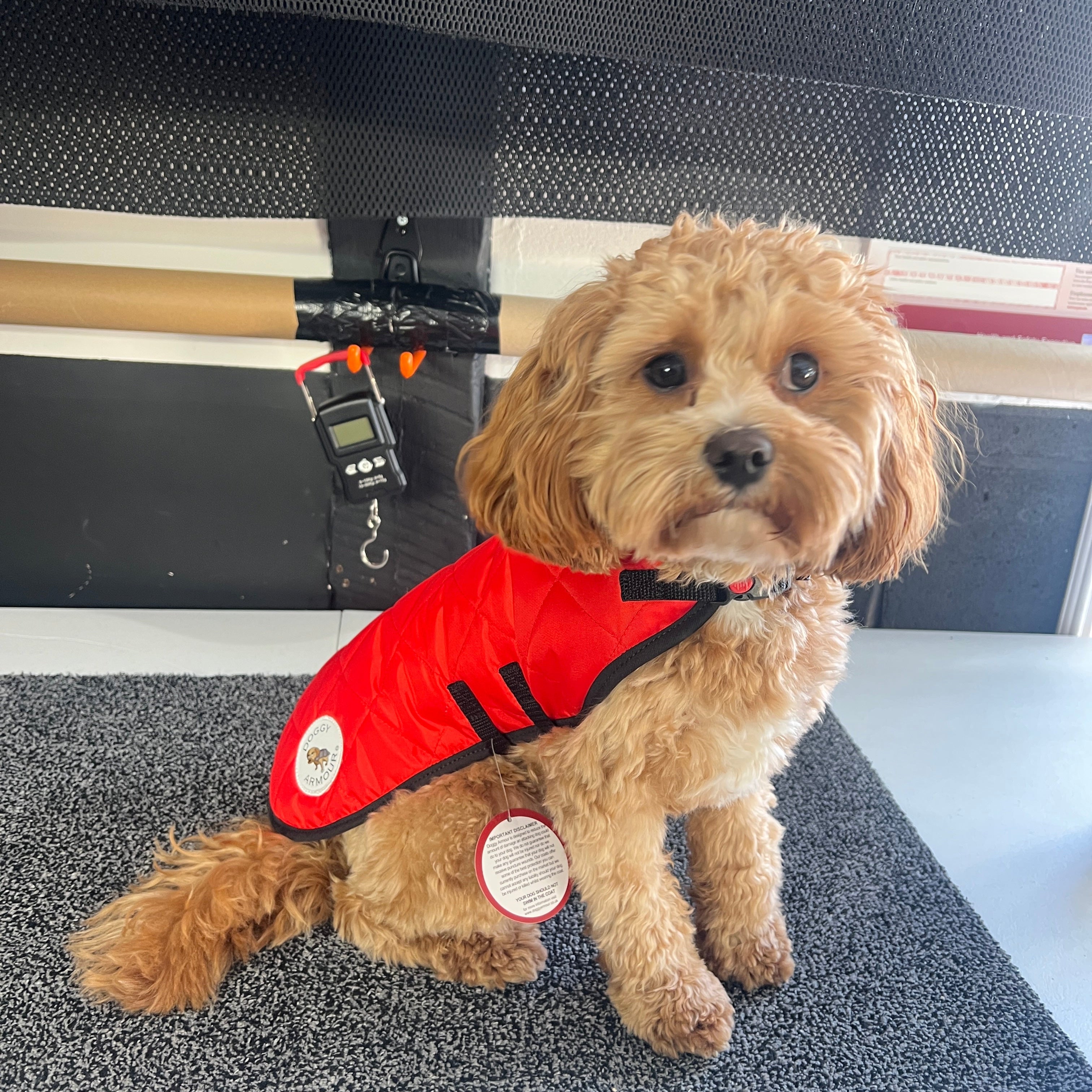 XSmall - Red Quiltled - Protective Dog Coat - Armoured Bite Resistant Dog Coat