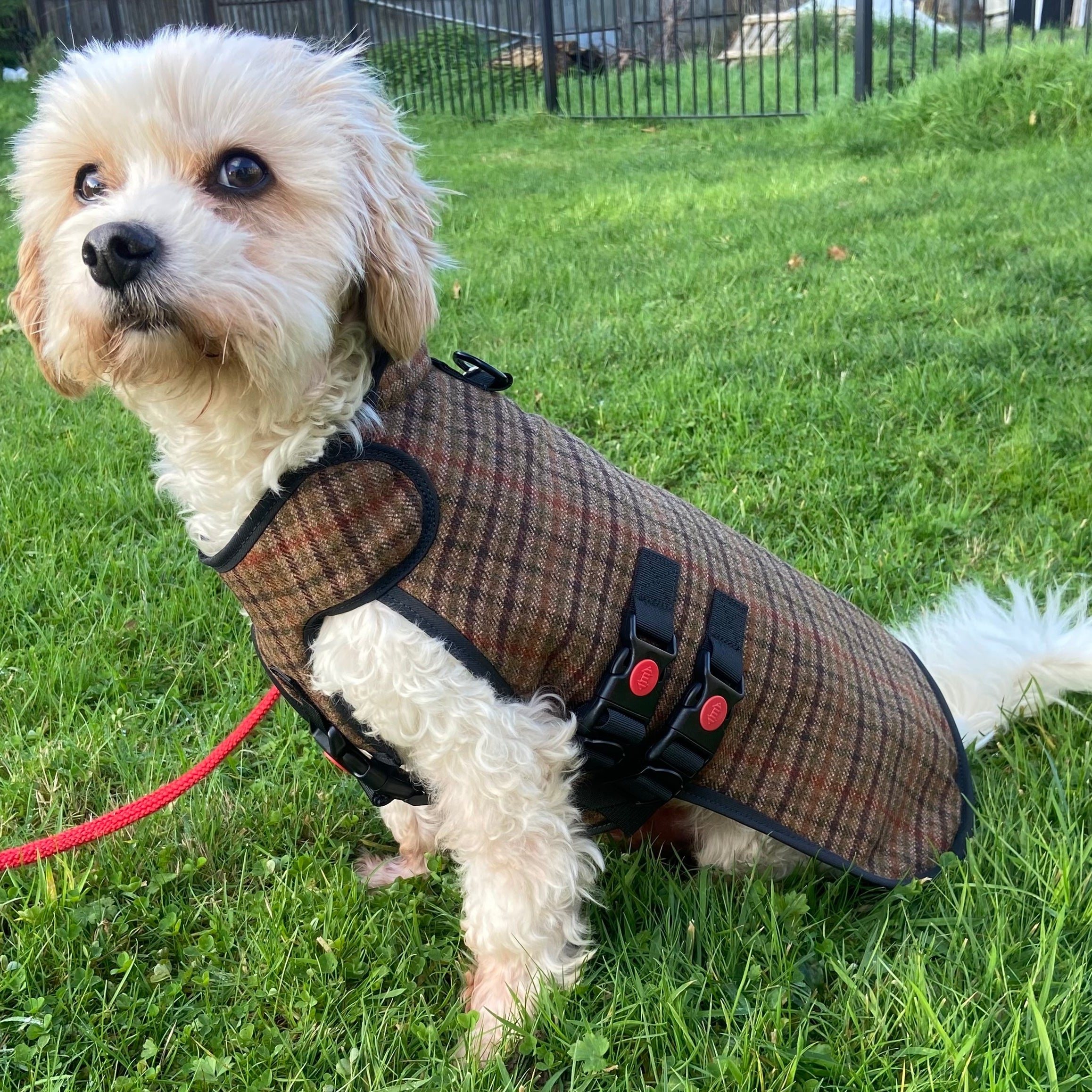Medium - Gunclub Tweed - Protective Dog Coat - Armoured Bite Resistant Dog Coat