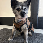 Medium - Gunclub Tweed - Protective Dog Coat - Armoured Bite Resistant Dog Coat