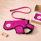Pink dog harness and leash set with a box on a beige background