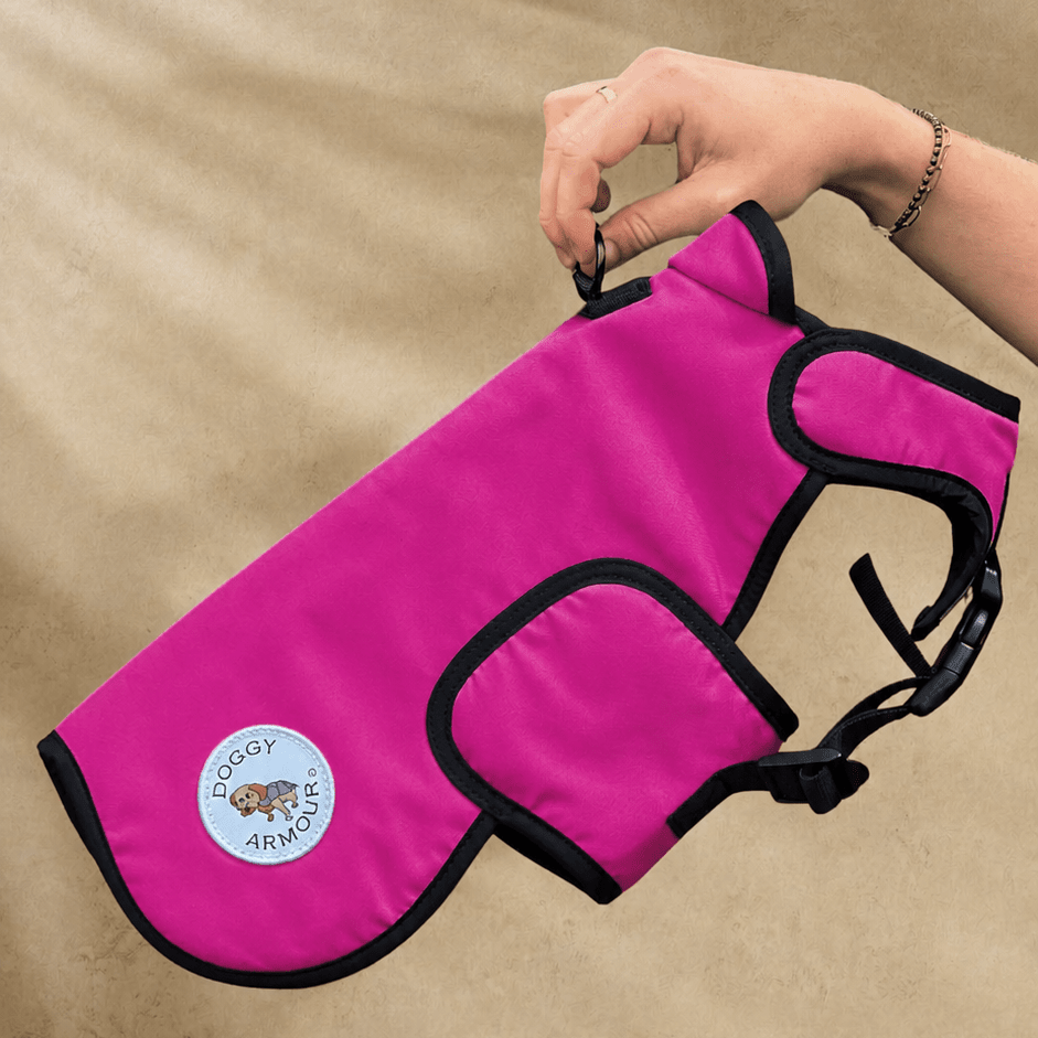 Pink dog life jacket with black straps held by a hand on a brown background