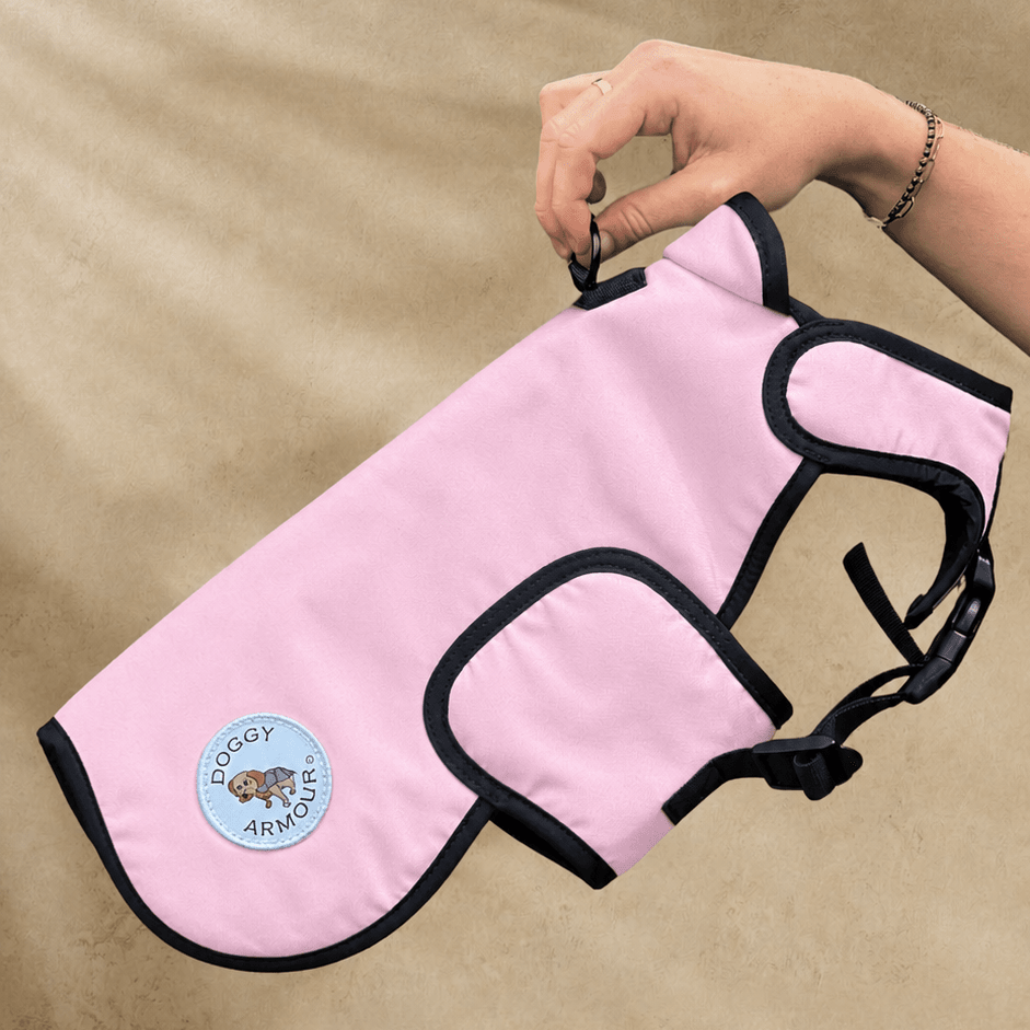 Pink pet coat with black straps held by a hand on a beige background