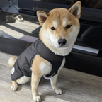 XXSmall - Black - Protective Dog Coat - Armoured Bite Resistant Dog Coat