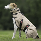 Advanced Protection Collection - Armoured Bite Resistant Dog Coat