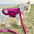 X Small - Tutti Frutti Pink - Protective Dog Coat - Armoured Bite Resistant Dog Coat