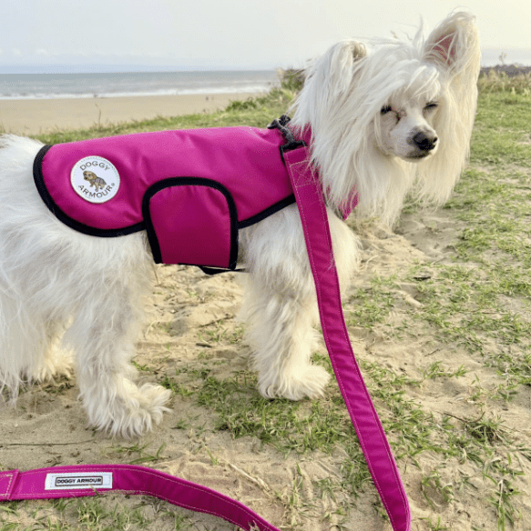 Tutti Frutti Pink Armoured Bite Resistant Dog Coat - MADE TO ORDER