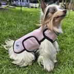 Small dog wearing a pink coat with a patch on grass