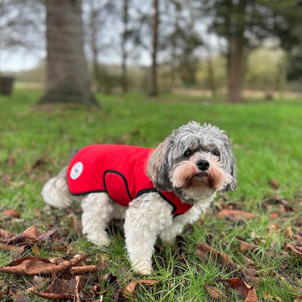 XXSmall - Poppy Red - Protective Dog Coat - Armoured Bite Resistant Dog Coat