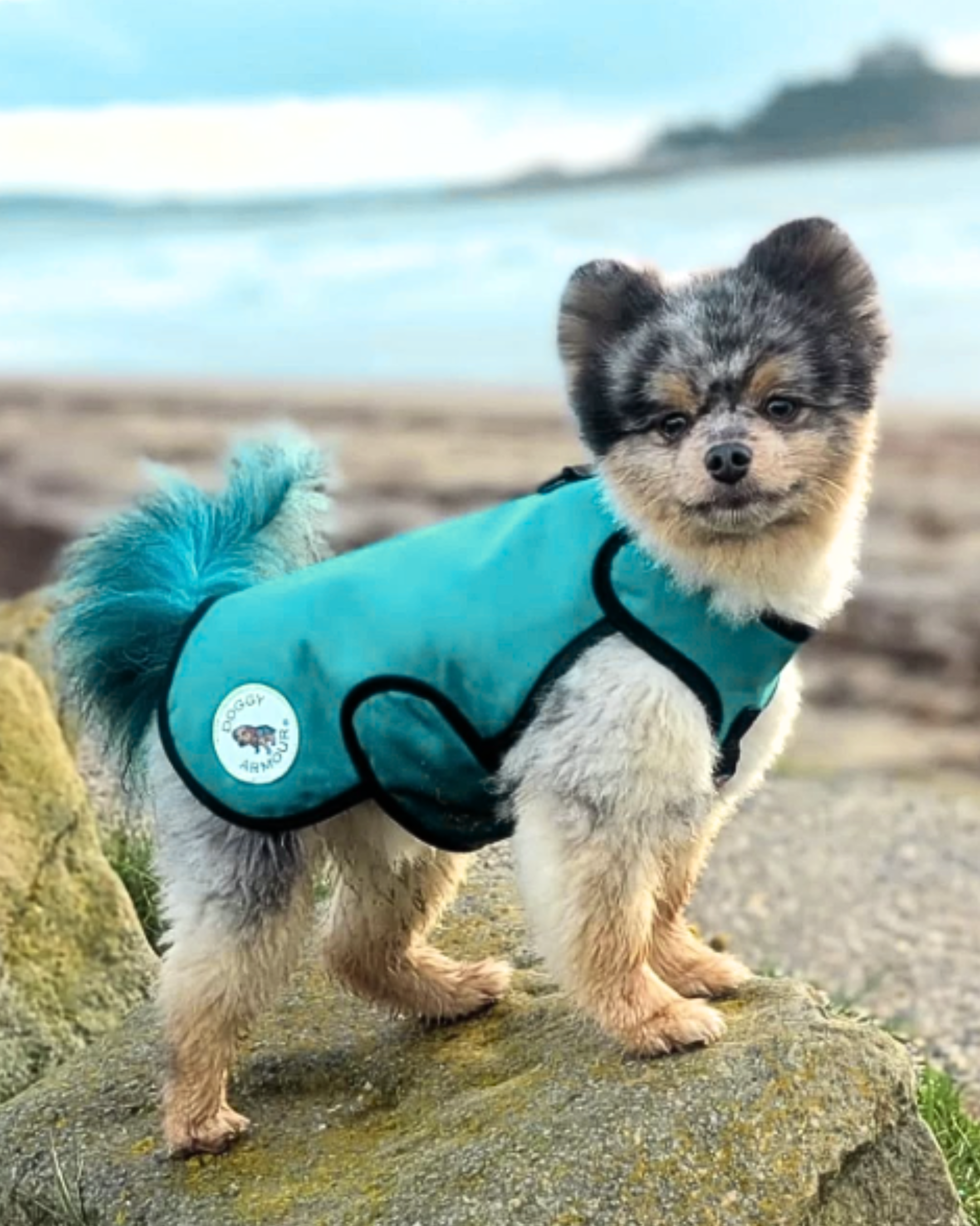 Made to Order Collection - Armoured Bite Resistant Dog Coat