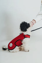 Poppy Red Protective Dog Coat - Armoured Bite Resistant Dog Coat