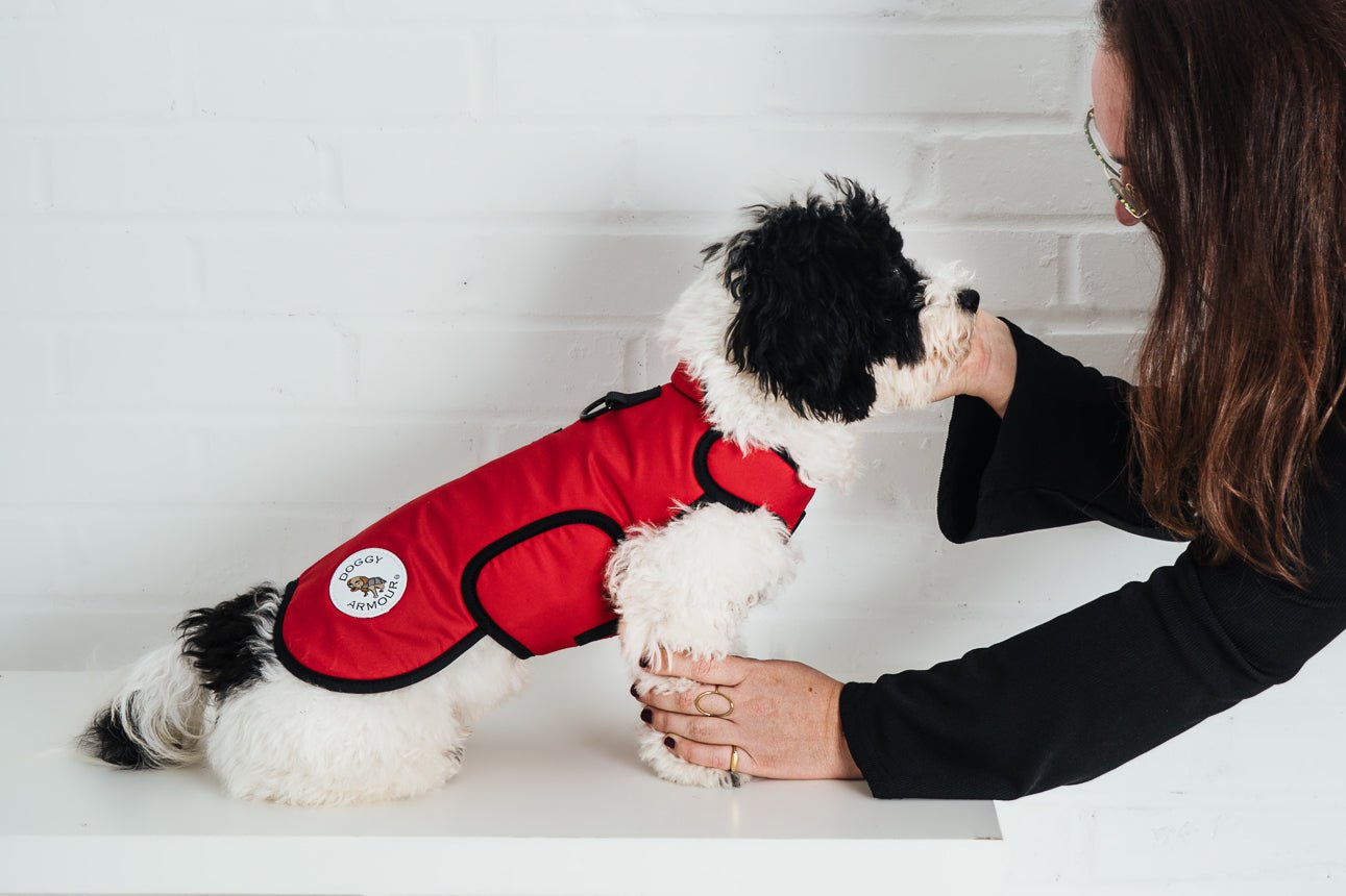 Poppy Red Protective Dog Coat - Armoured Bite Resistant Dog Coat