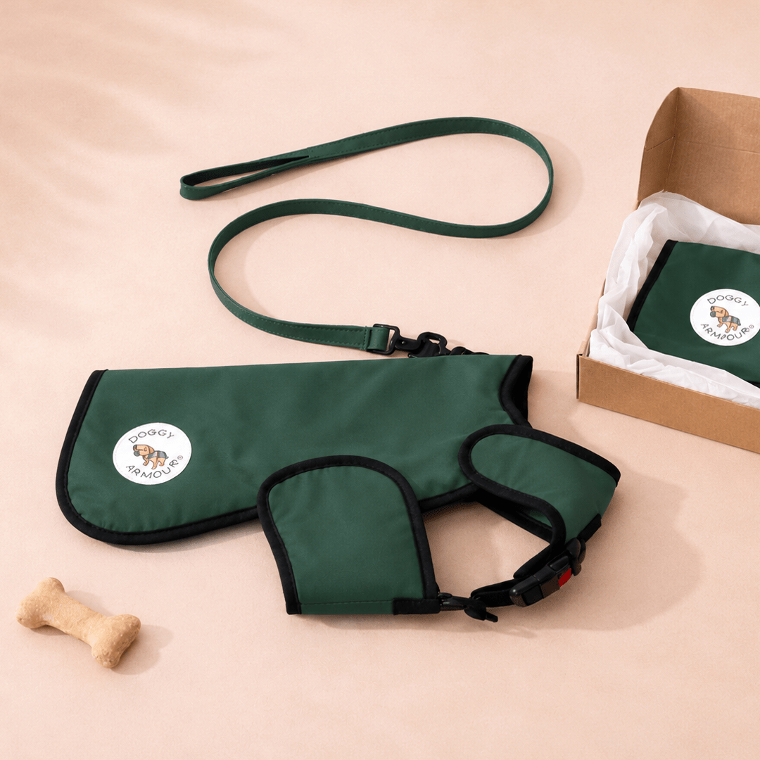 green protective dog coat  forest green with lead