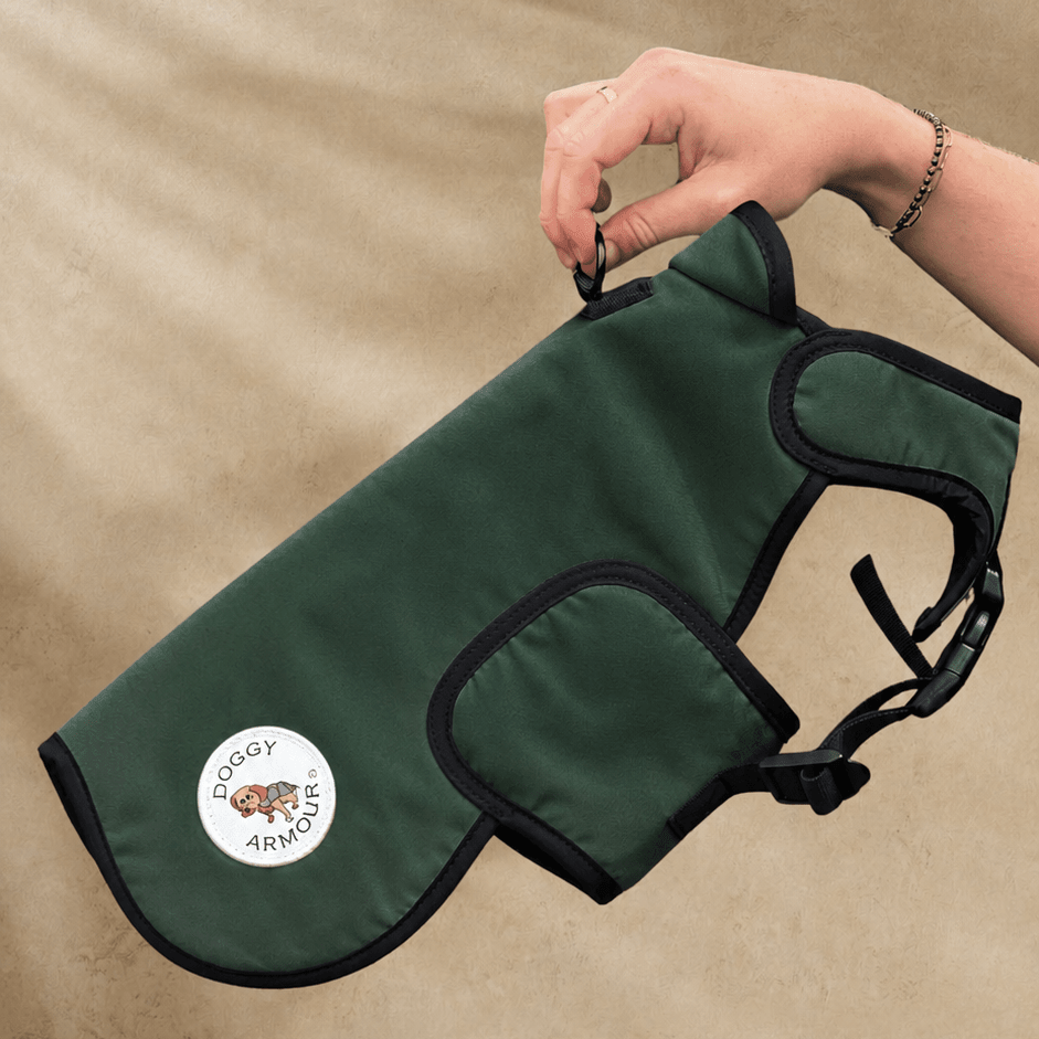 green protective dog coat forest green with lead on beige background