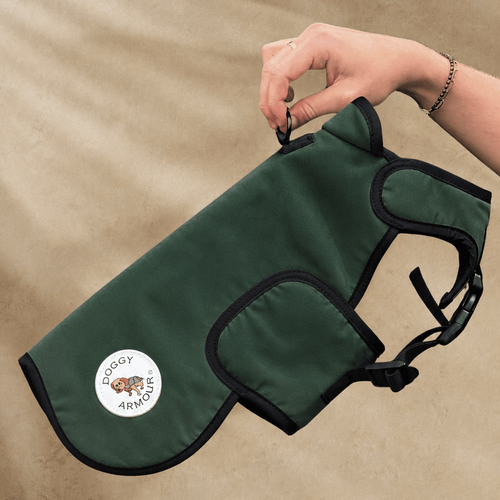 green protective dog coat forest green with lead on beige background