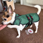 Forest Green Armoured Bite Resistant Dog Coat - MADE TO ORDER