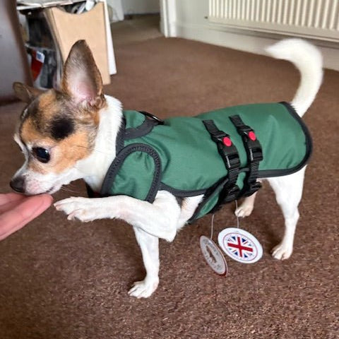 Forest Green Armoured Bite Resistant Dog Coat - MADE TO ORDER