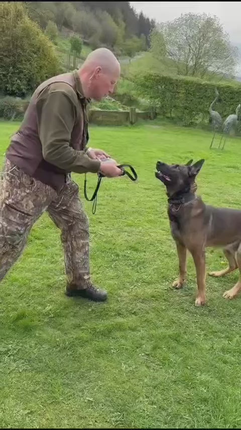 Testing Doggy Armour