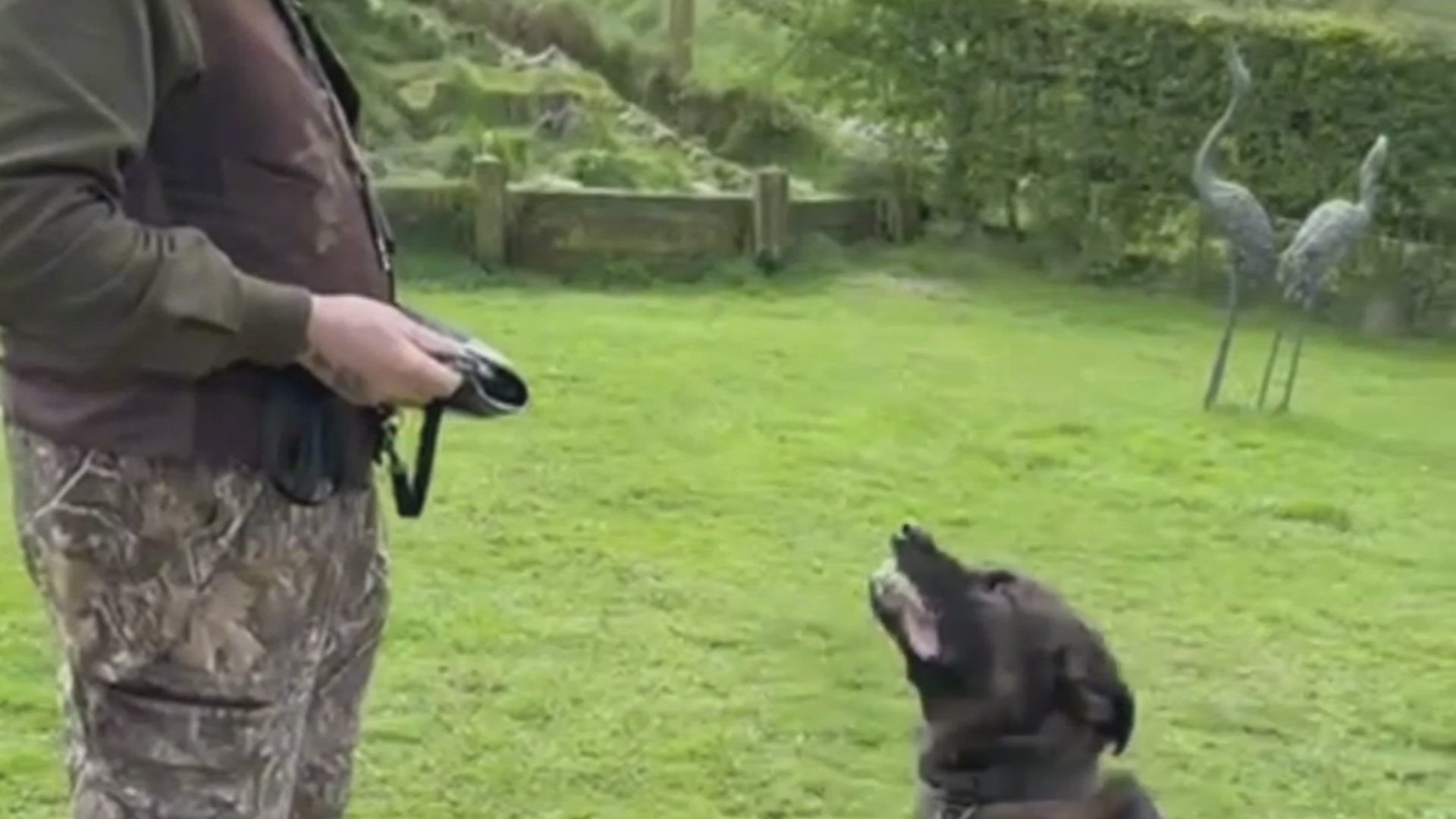 video of dog biting and testing the armour